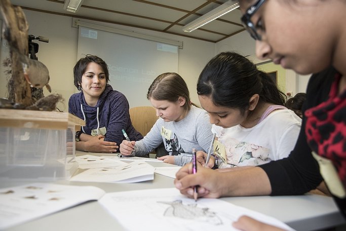 Ergebnisse aus den Projekten zum Thema &#034;Verbesserung der Praxisbezüge im Lehramtsstudium&#034;